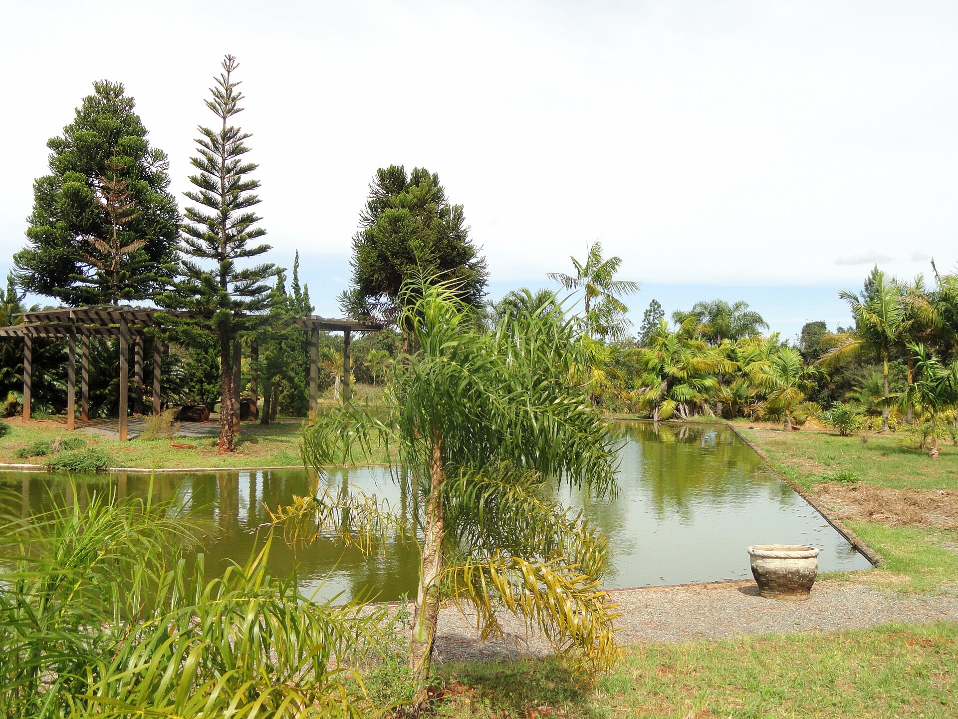 O Jardim Botânico de Brasília preserva o Cerrado em trilhas e espelhos d'água.